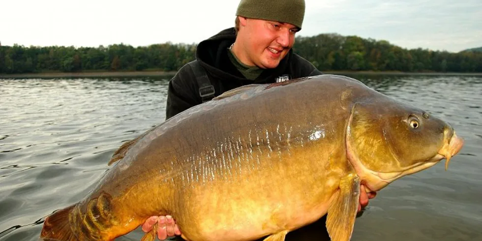 Honzův splněný sen