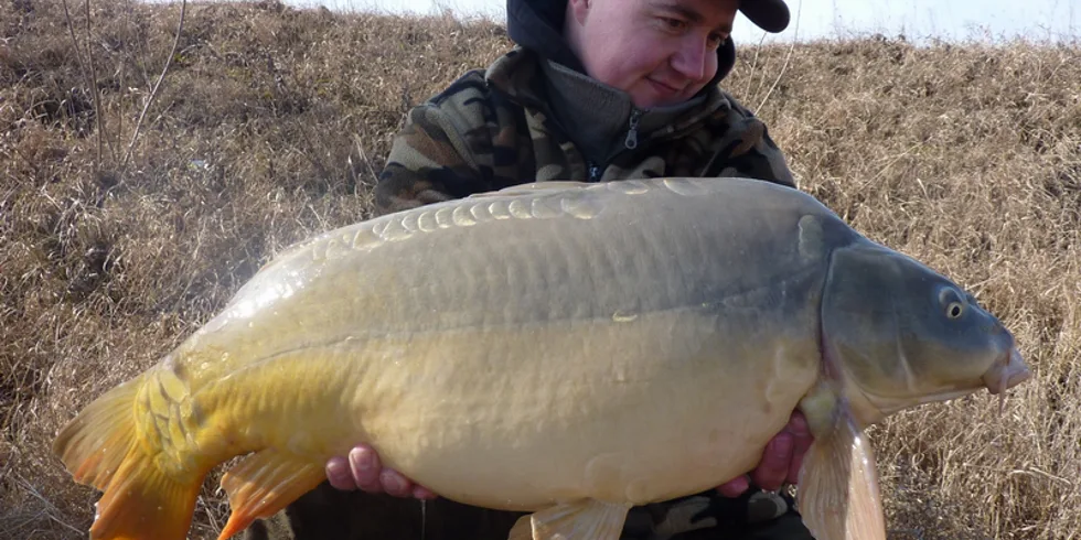 První ryba sezony na magickou čokoládu!