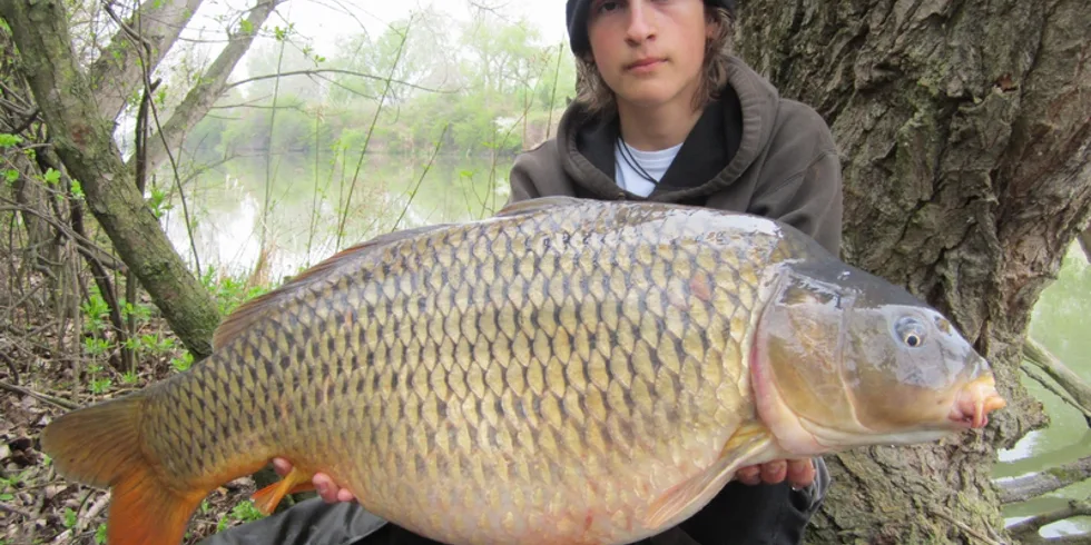 Připraveným štěstí přeje...