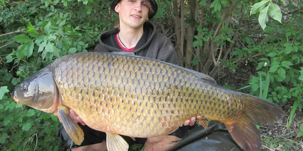 Pár hodin zázraků