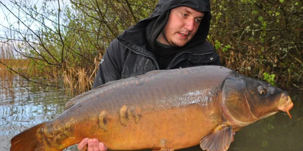 Honzovo jarní trápení ve Francii