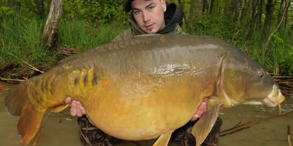 Mrazivá jarní Francie...