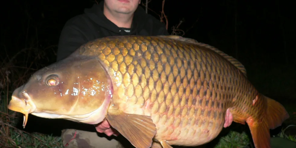 Pingpongáč na Labi