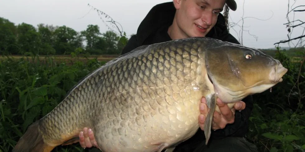 Nová taktika poprvé v praxi...