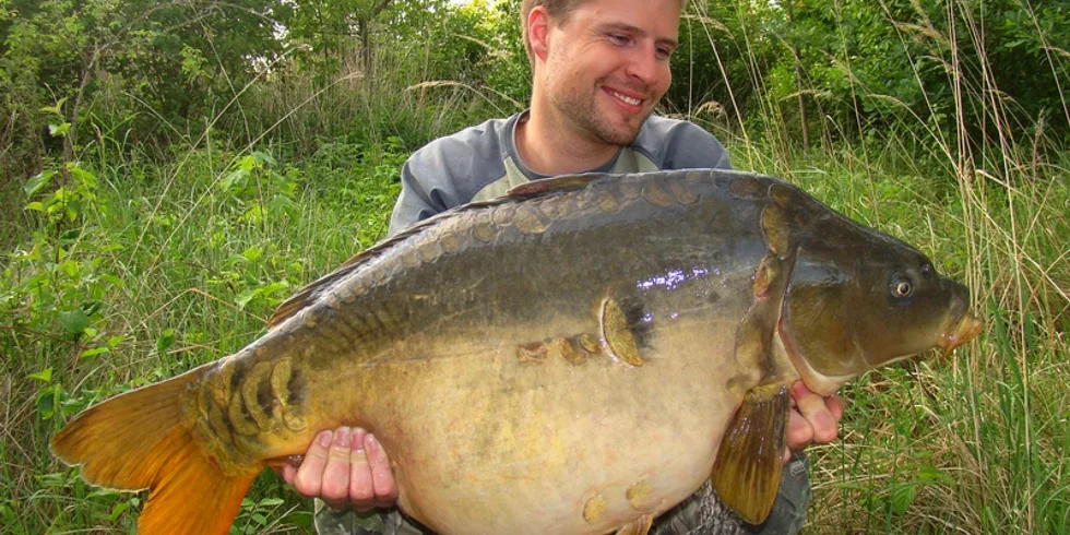 Než na to vlítli...