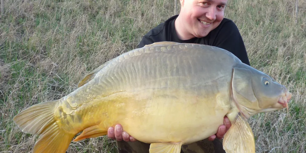 Z každého rožku trošku...