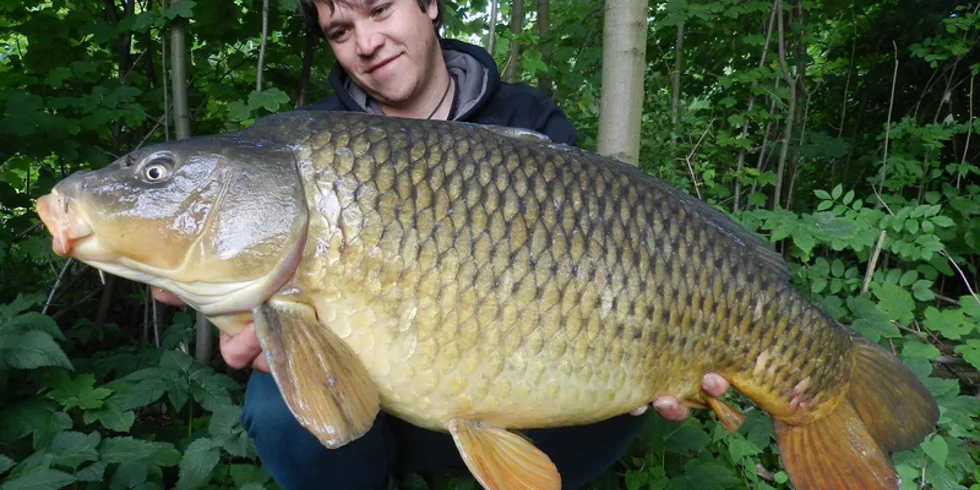 Poslední ryby před tropickými vedry