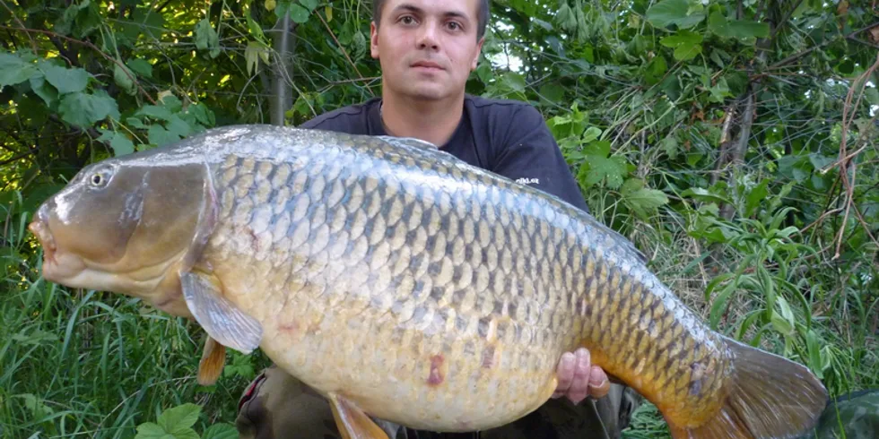 Pingpongáč a říční rychlovky