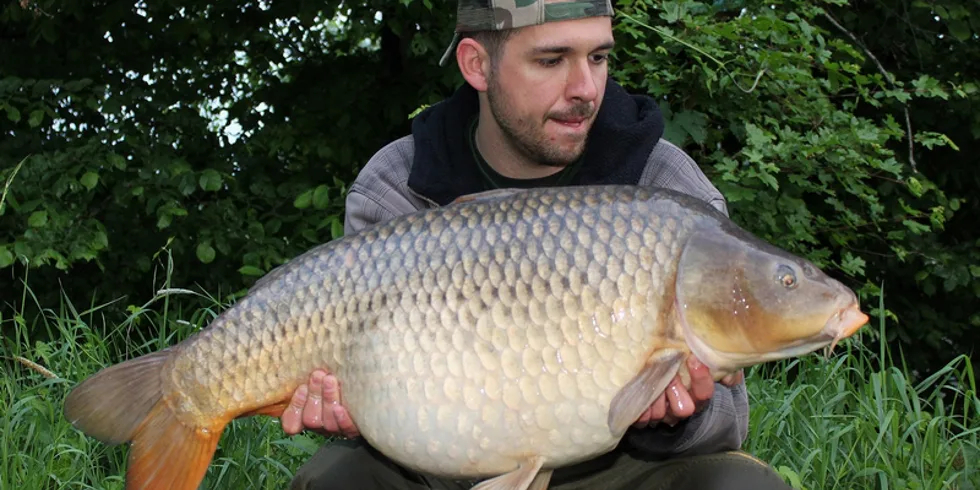 S P(p)eřinou na Labi