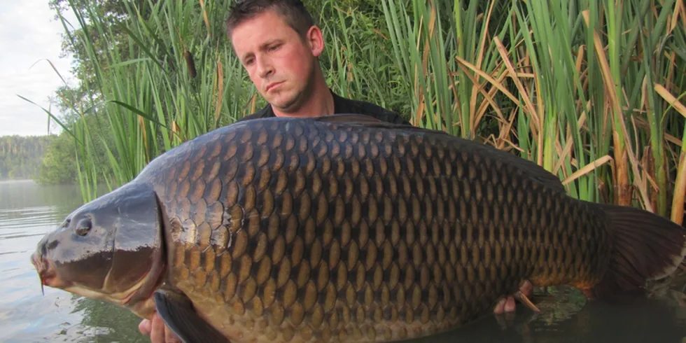 Slovinská premiéra