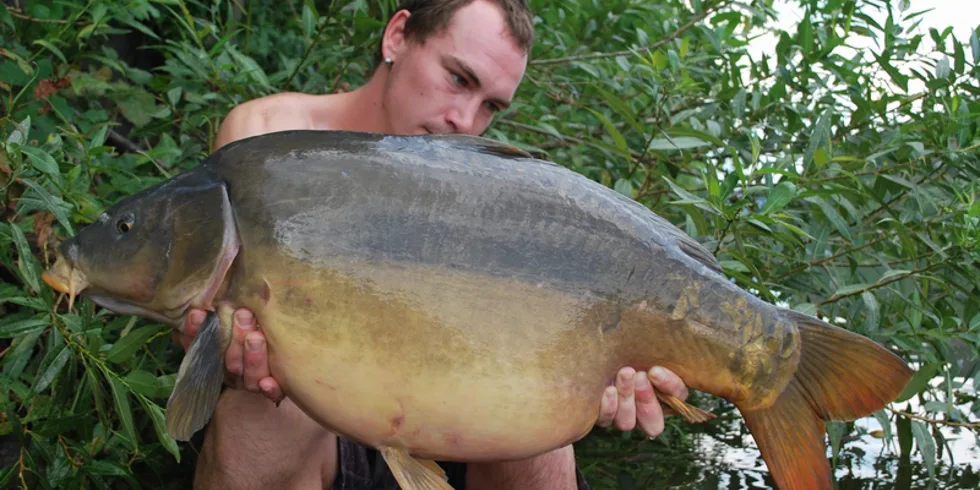 Sliby se musí plnit...