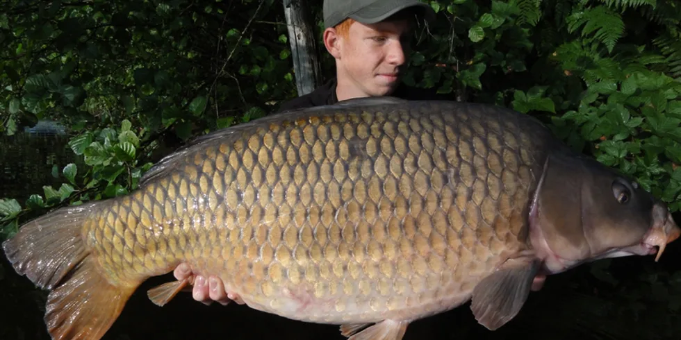 Enigmův nový osobák!