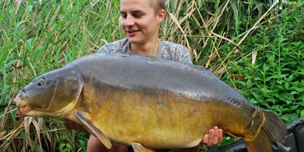 Rychlé akce na řekách