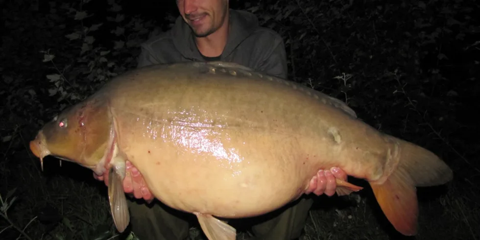 Láďova říční sklizeň