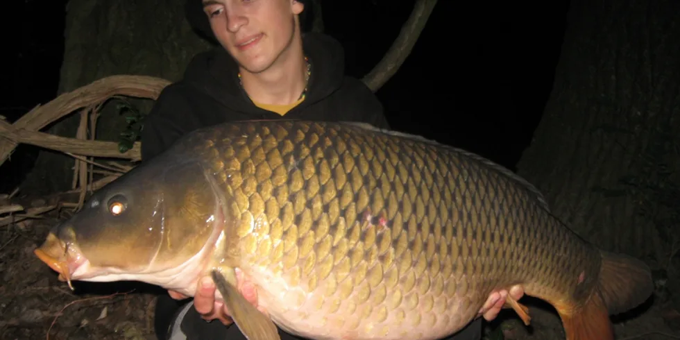 Když táhnou kachny...