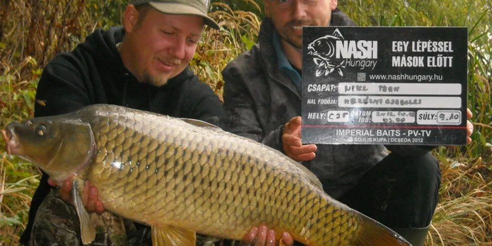 Závody na Maďarské Desedě