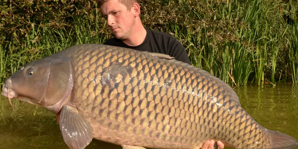 Matej Robič a jeho velkolepá výprava...