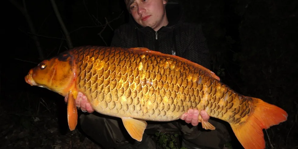 Poslední výprava před zámrzem