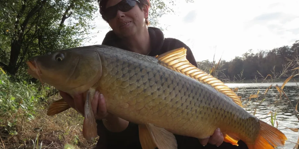 Carps Freedom Team se nevzdává