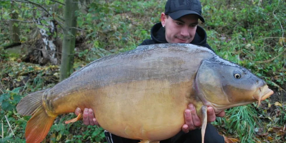 Jedna z posledních...