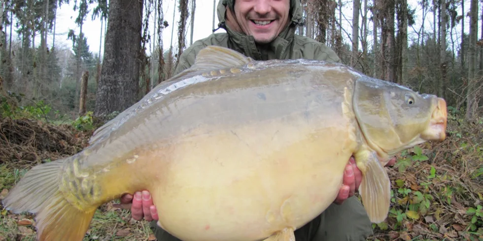 Láďova podzimní série