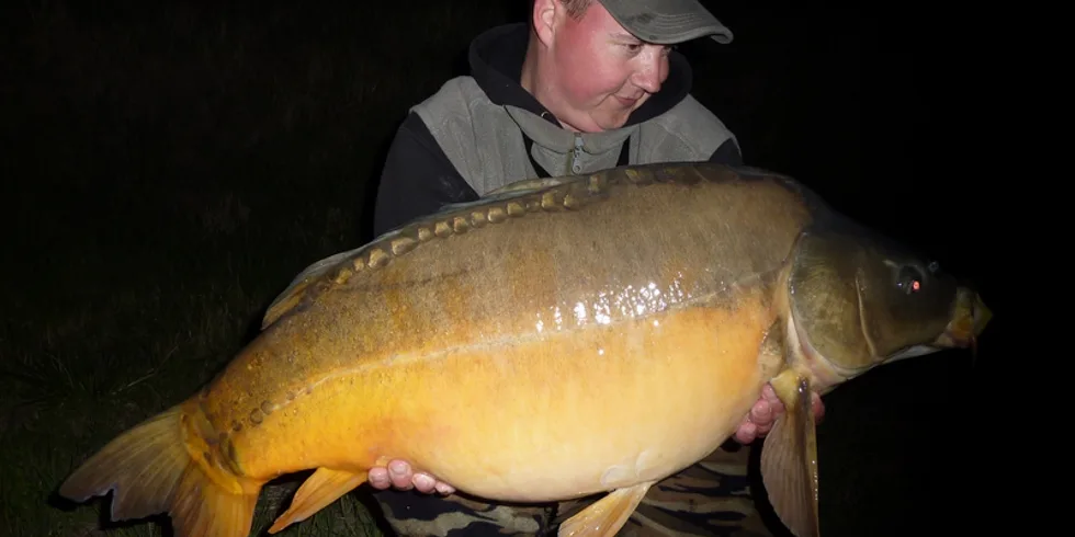 Neplánovaná kŕmná kampaň