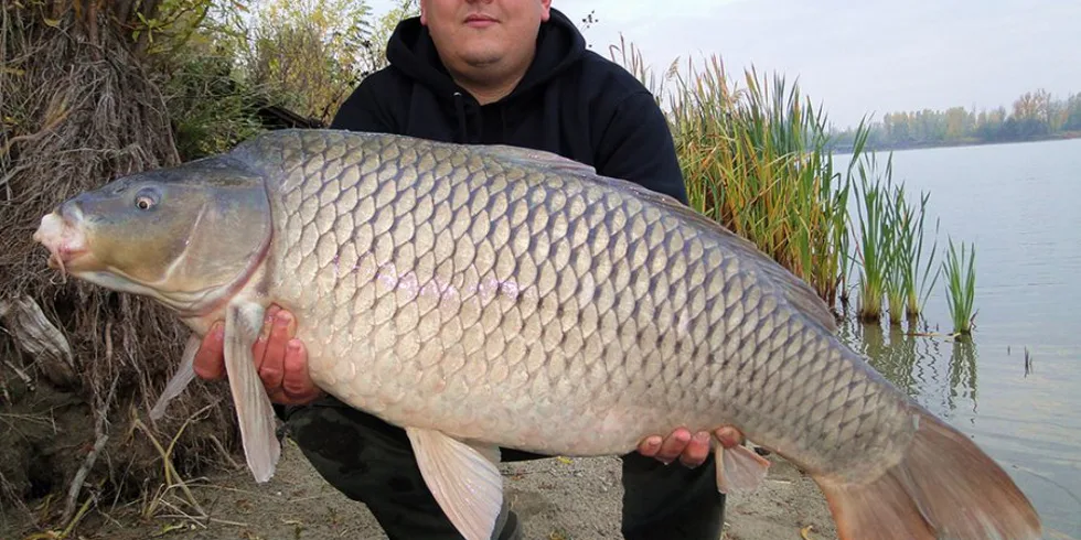 Na poprvé to nebylo špatné...