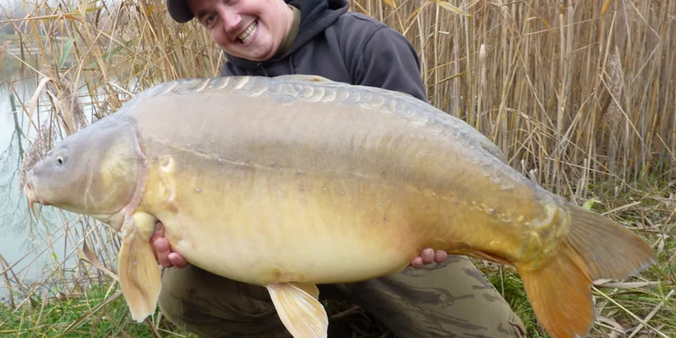 Výprava z říše snů