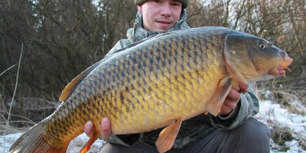 Březen za kamna vlezem...
