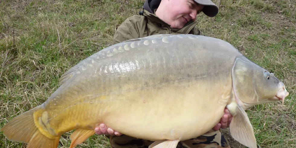 Chvilku po rozmrznutí...