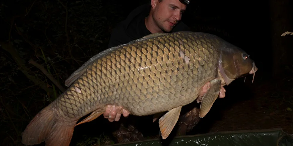 Vzpomínka na babí léto