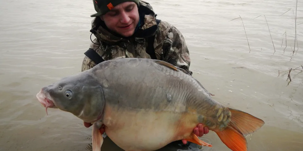 KrillBerry řádilo na Merenye...