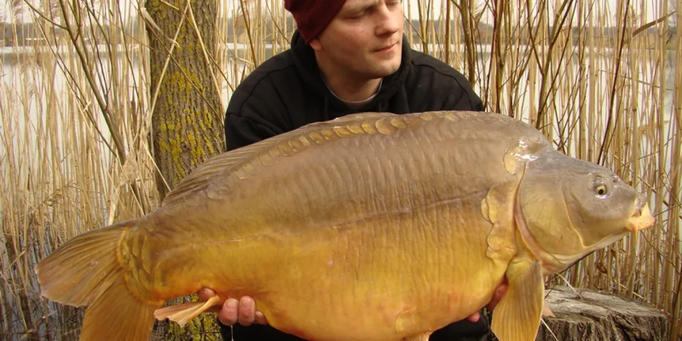 Jarní Maďarsko - Rišova odveta