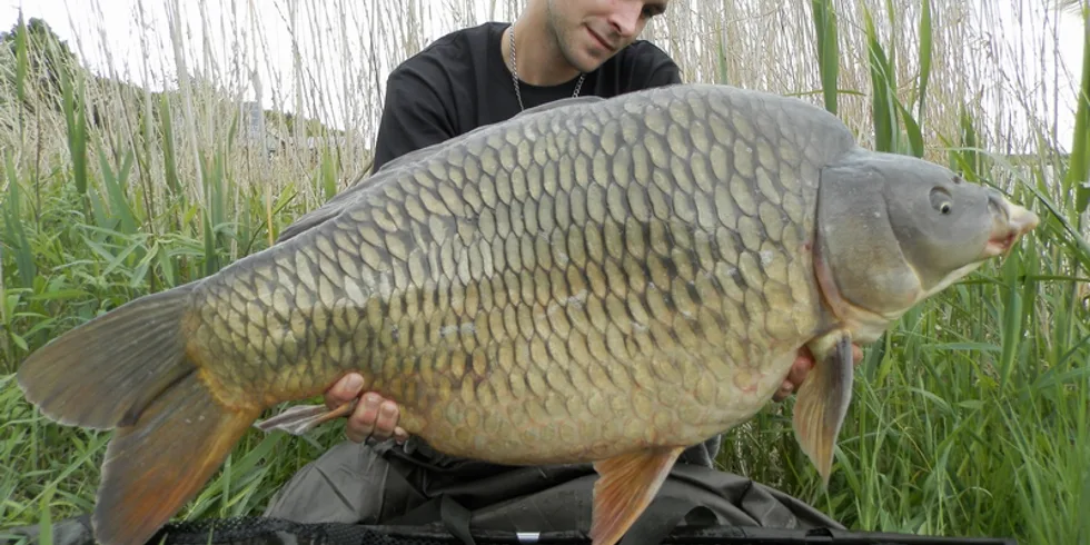 Velká odměna za krátká snažení...