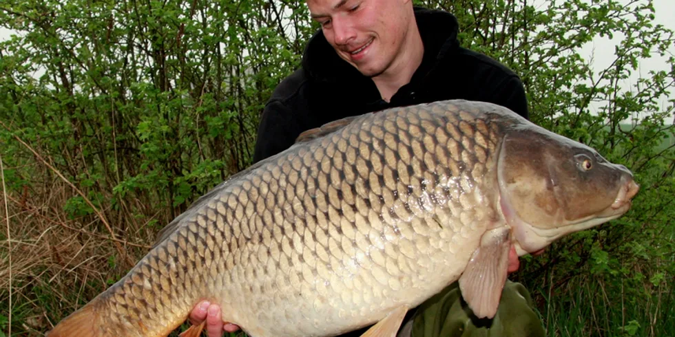 Vítkova říční story...