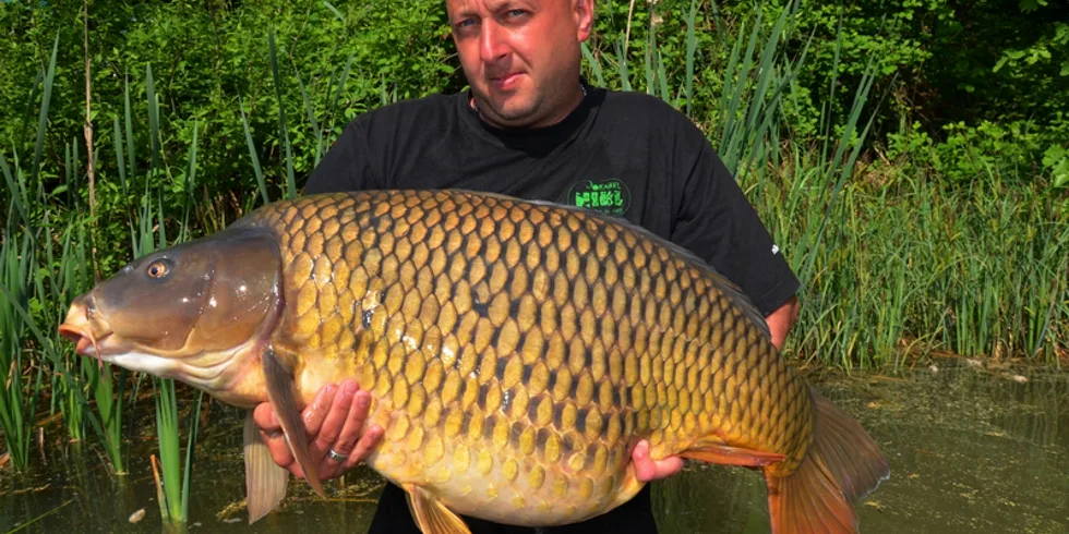 Jak jsem dostal od sumcaře na prdel...