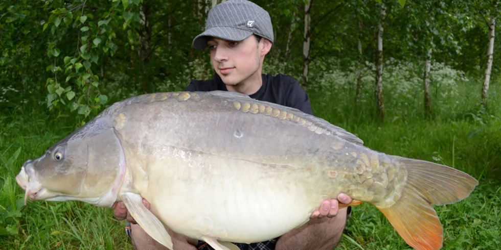 Leošovo pokračování...