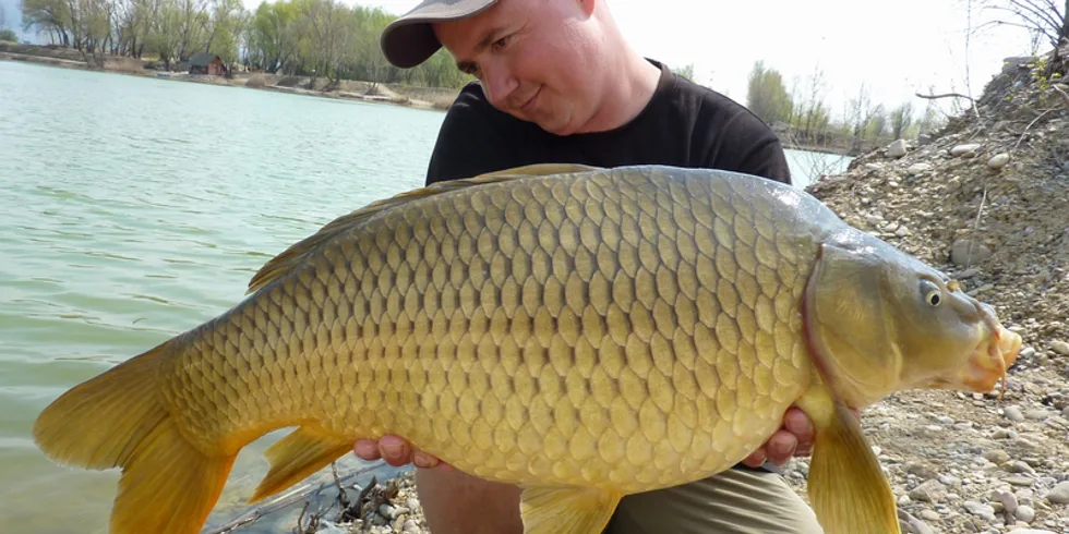 Nová voda - nová výzva