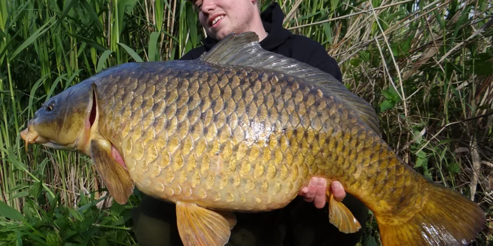 Po-povodňové akce na řece...