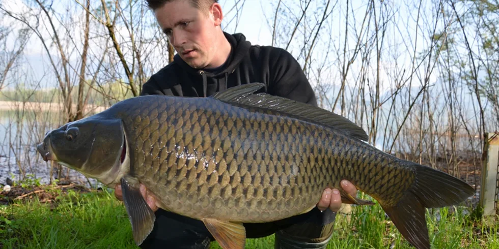 Italská premiéra Mateje Robiče