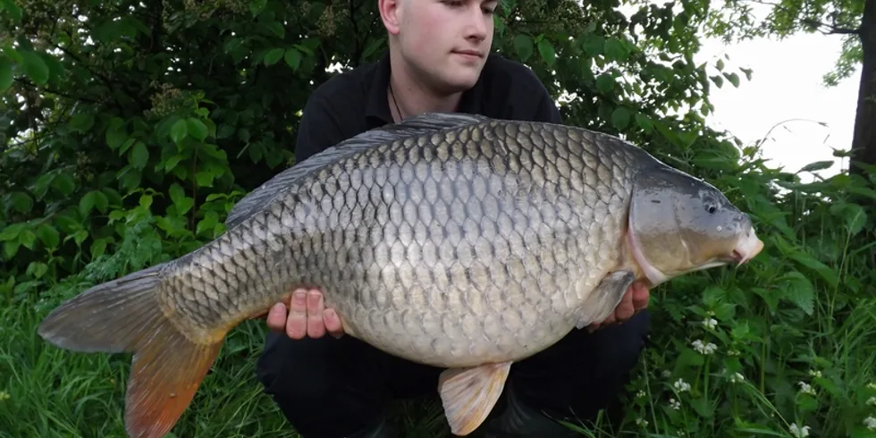 Top Gunova jarní hořkost