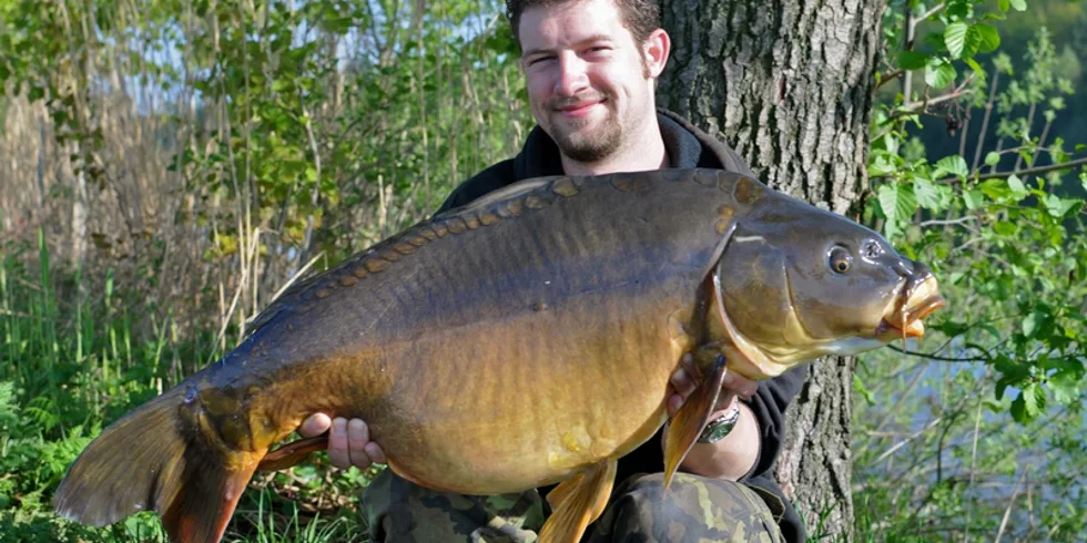 Rychle, atraktivně a efektivně