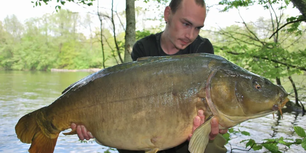 Carpkillerův multi-report