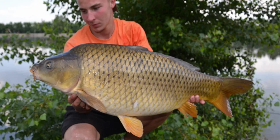 O pár centimetrů nahoru...