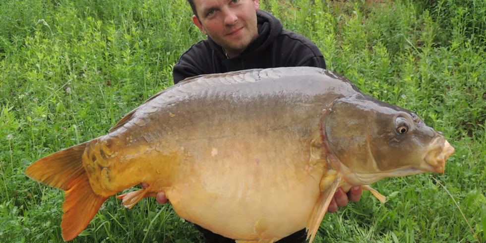 "To by som nebol povedal..."