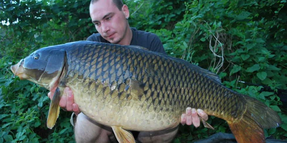 Když skončily vedra...