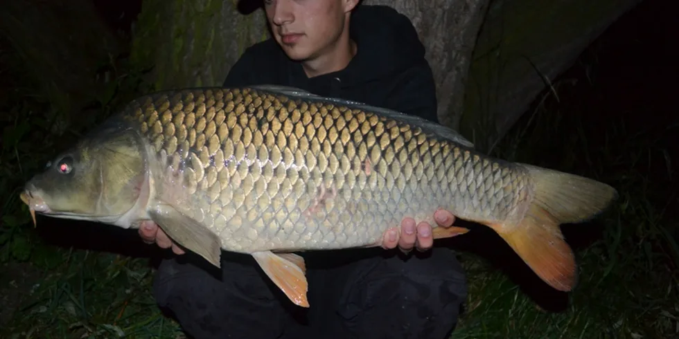 Neúprosné počasí...