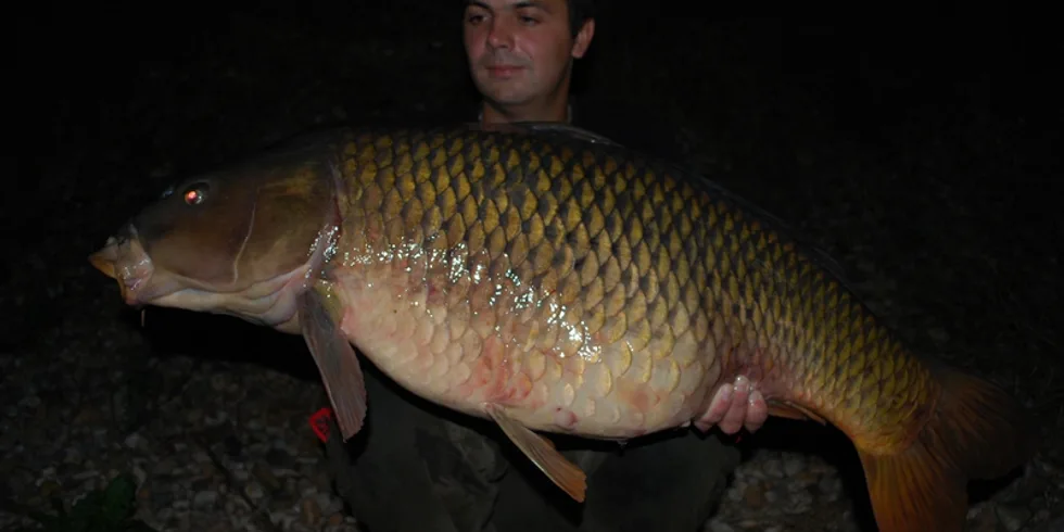 Pingpongáčovy devítihodinovky...