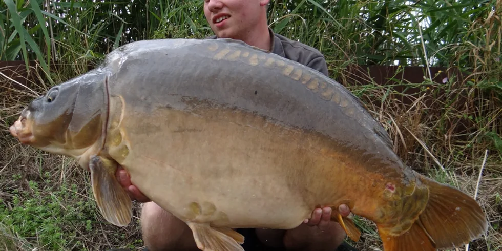 Francouzské poklady...