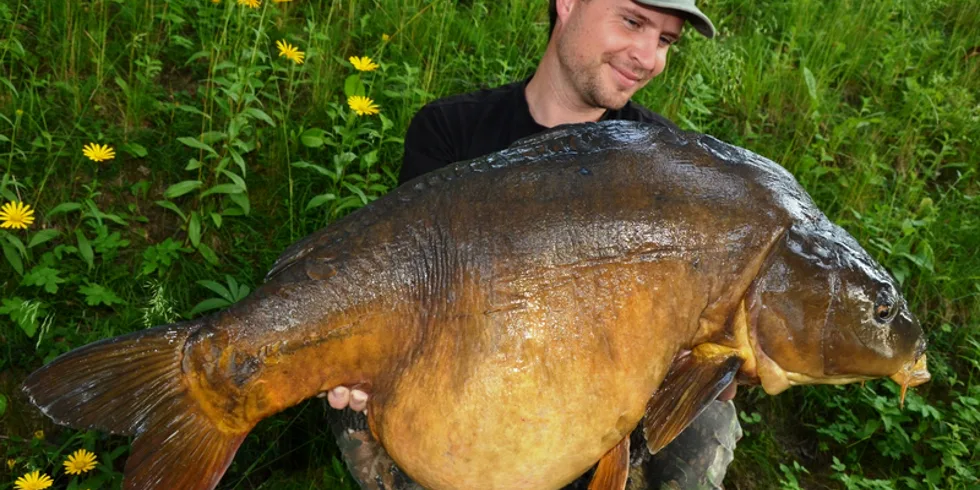 Když jeden záběr stačí...